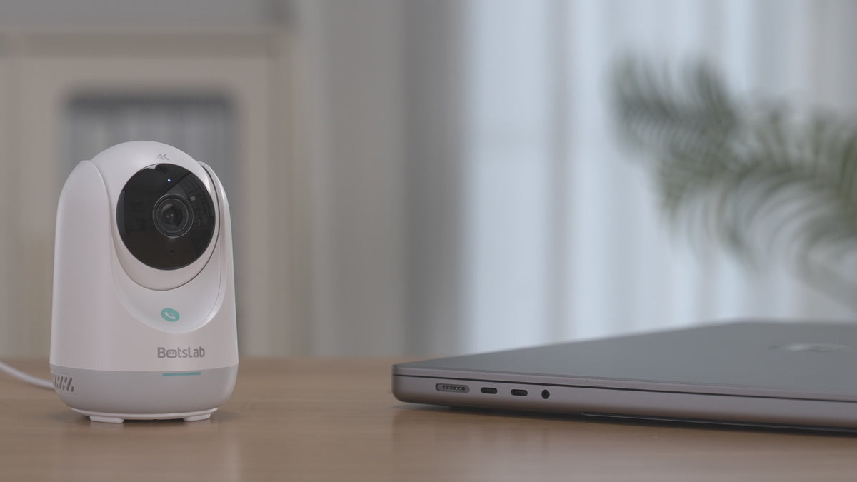 Load video: Indoor Security Cam Mystery Box